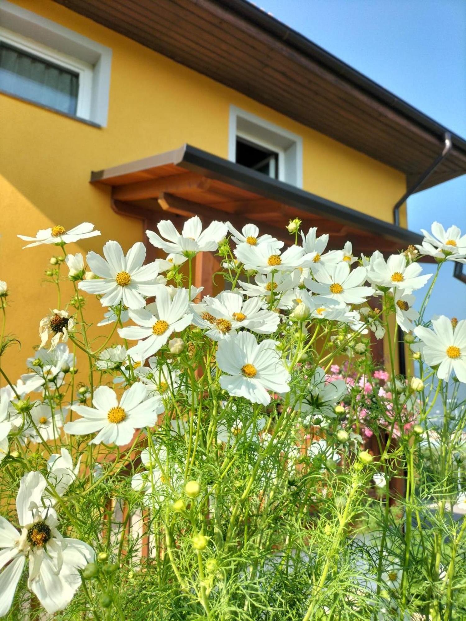 I Girasoli Санцено Екстер'єр фото